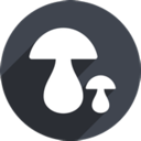 Mogu China VPN, 香菇请将以下文本进行重新表达，尽量使其与原文本有所不同。请保留任何可能的token，例如国内翻墙软件榜单。如果token的前缀是[custom:]，请务必保留并确保“custom”拼写正确。同时，请保持任何可能的HTML格式。文本如下： 国内翻墙软件